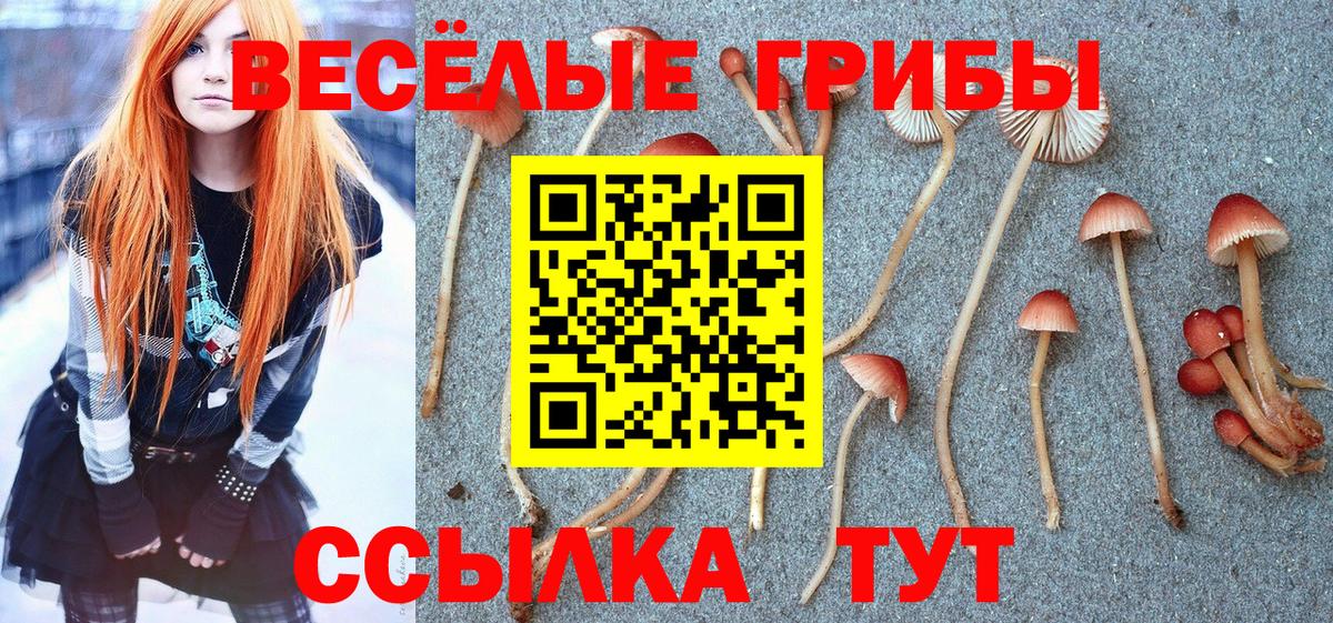 Галлюциногенные грибы ЛСД Черняховск