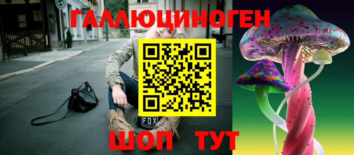 Галлюциногенные грибы GOLDEN TEACHER  Вход с VPN  Черняховск  Галлюциногенные грибы Psilocybine cubensis 